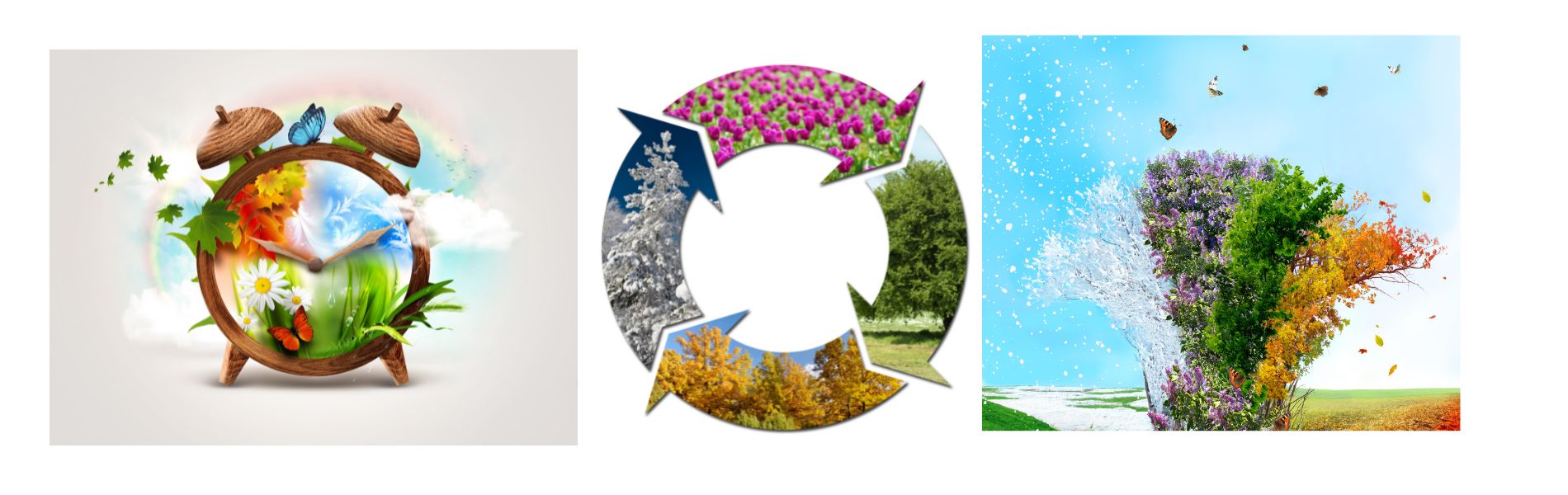 旬を見つけよう